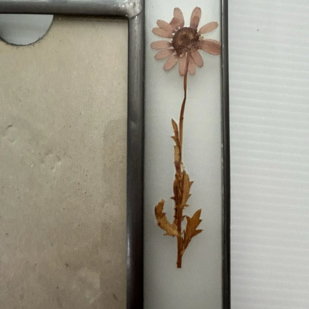 Connoisseur‎ Pressed Dried Flowers Glass Picture Frame 4x6 Photo Cottagecore